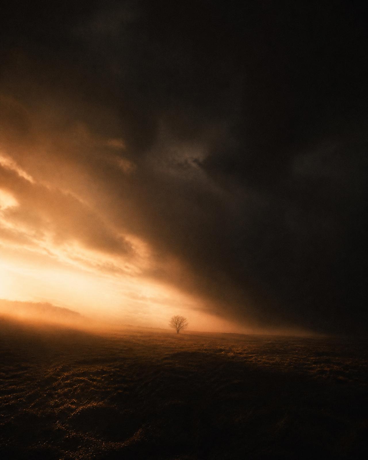 The Seed Wars — cinematic artwork